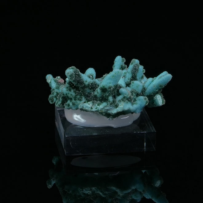 Chrysocolle from DRC