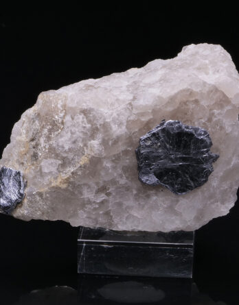 molybdenite on quartz  moly hill mine