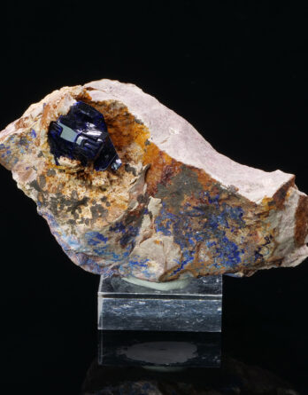 Azurite on Fossil from Kerrouchen