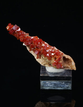 Vanadinite on Nerinea from Morocco