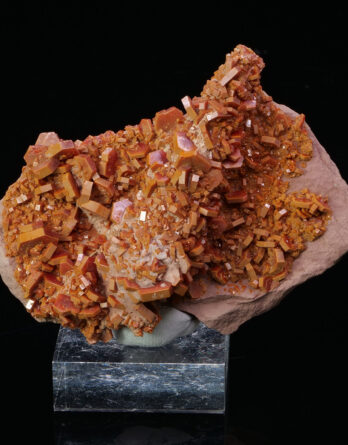 Vanadinite on Nerinea from Morocco