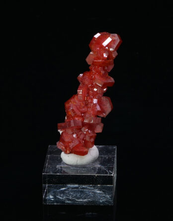 Vanadinite on Nerinea from Morocco