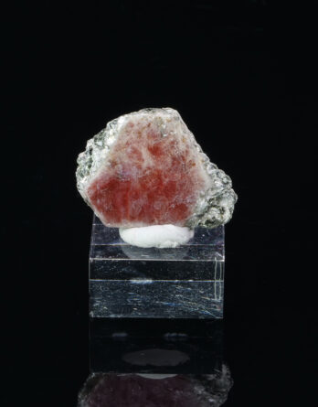 Ruby from Sagstuen