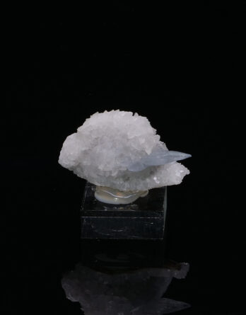 Celestine from Montalieu France