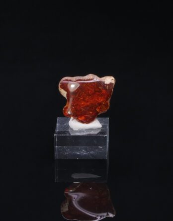 Amber Compiegne France