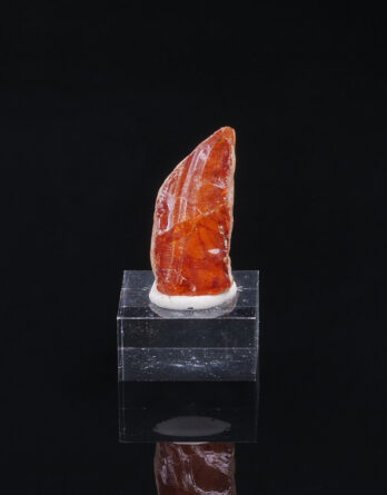 Amber Compiegne France