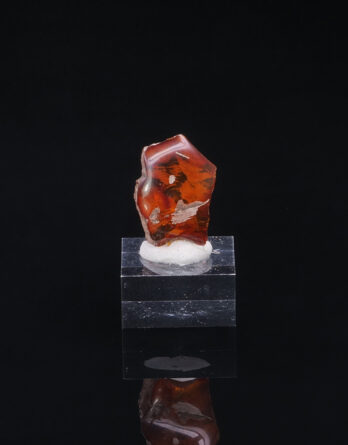 Amber Compiegne France