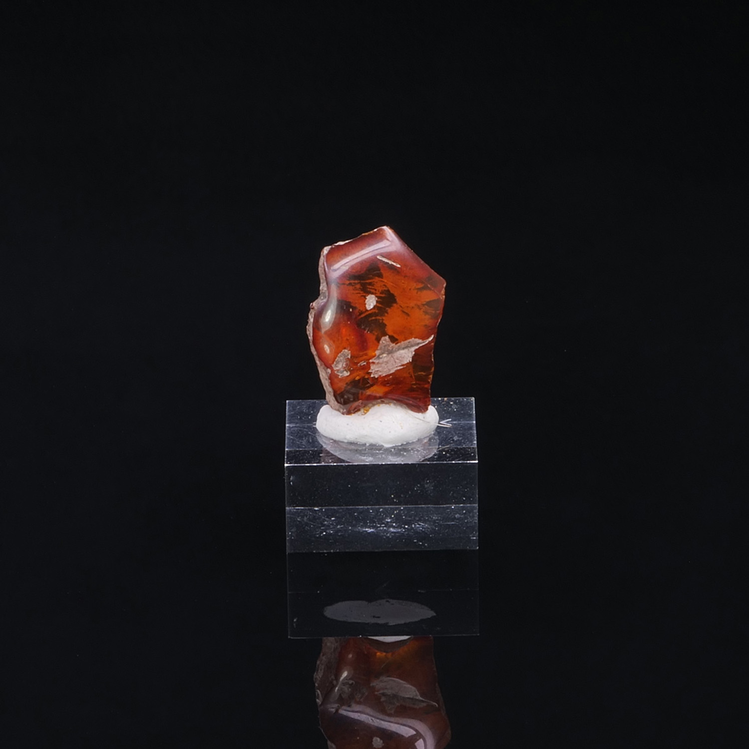 Amber Compiegne France Amber Compiegne France