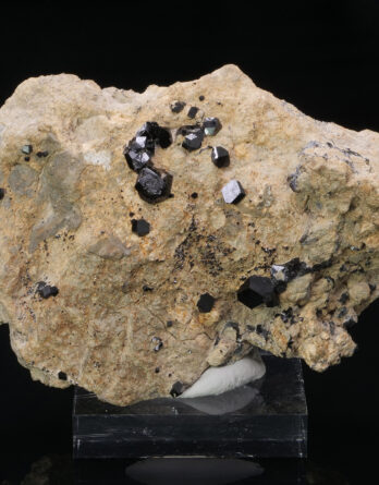 Melanite garnet from San Benito USA