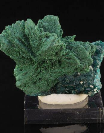 Primary Malachite Dioptase Tantara DR Congo