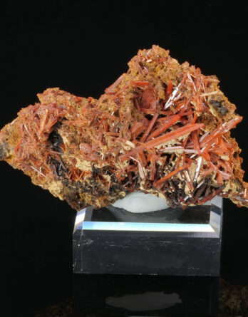 Crocoite from adelaide mine Australia