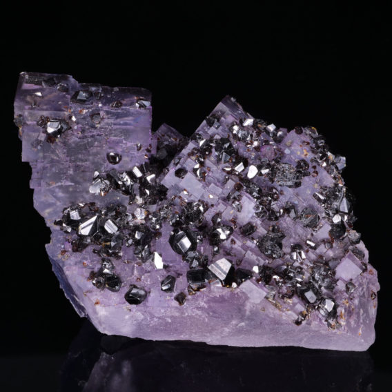 Sphalerite on Fluorite from Denton Mine, USA