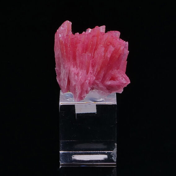 Rhodonite from Peru