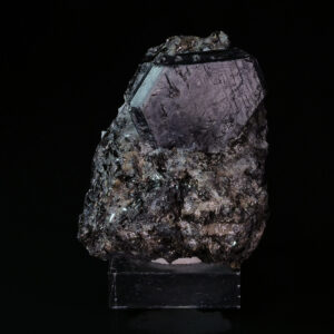 sapphirine madagascar